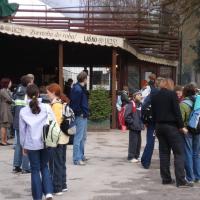 Priprave Umag