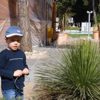 Priprave Umag