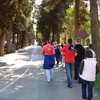 Priprave Umag