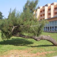 Umag 057