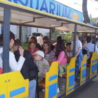 Umag 069