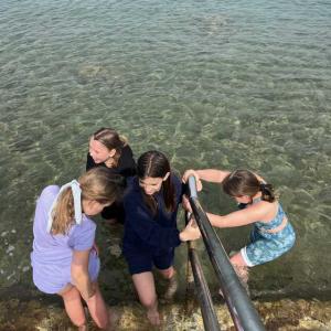 Priprave Umag 2025