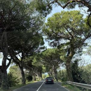 Priprave Umag 2026