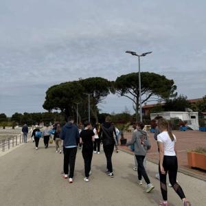 Priprave Umag 2026